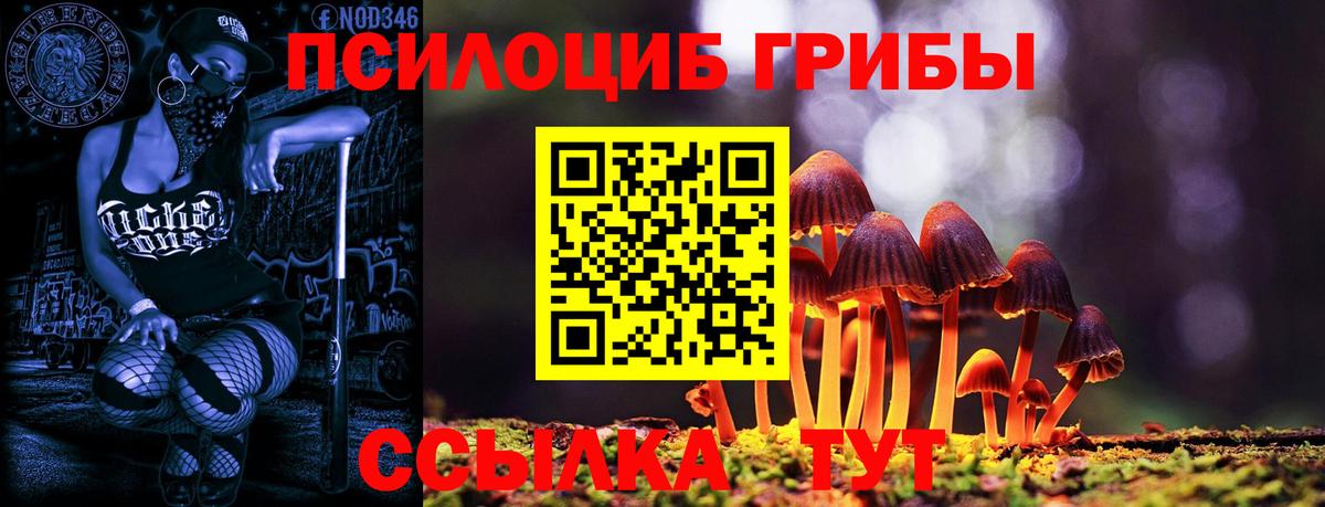 Псилоцибиновые грибы Magic Shrooms Свободный